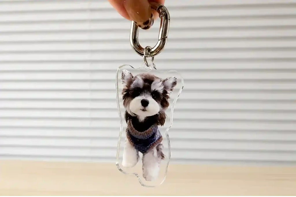 Pet Photo Keychains